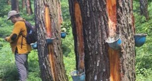 Asep Papay Kritik Keras BTNGC: Longsor Cilengkrang dan Zona Tradisional Harus Dievaluasi Total