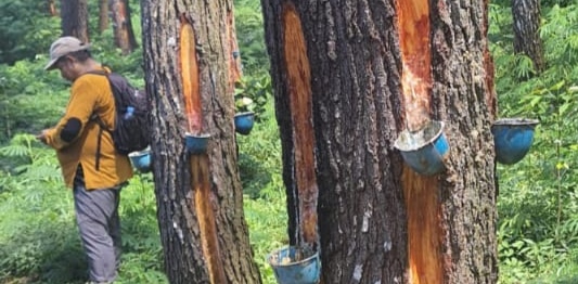 Asep Papay Kritik Keras BTNGC: Longsor Cilengkrang dan Zona Tradisional Harus Dievaluasi Total