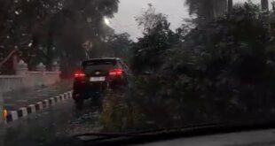 Selasa Pagi Kuningan Diterjang Angin Kencang, Pohon Depan Pendopo Tumbang
