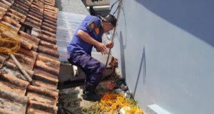 Anak Kucing Terjebak di Lantai 2, Damkar Kuningan Hadir Seperti Film Thriller!