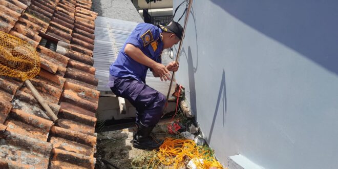 Anak Kucing Terjebak di Lantai 2, Damkar Kuningan Hadir Seperti Film Thriller!