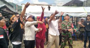 Suara Merdu Perkutut Menggema, Kontes KMP Purwasari Ramai dan Penuh Kejutan