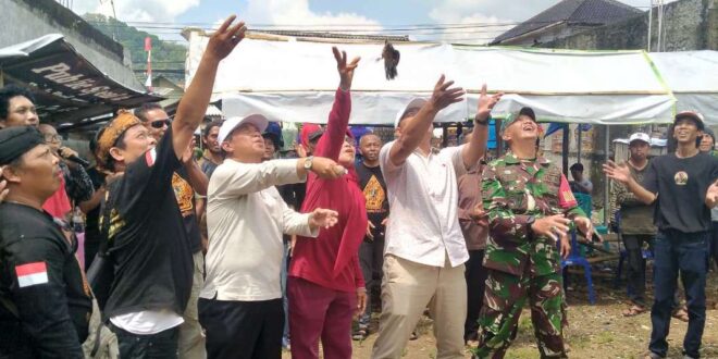 Suara Merdu Perkutut Menggema, Kontes KMP Purwasari Ramai dan Penuh Kejutan