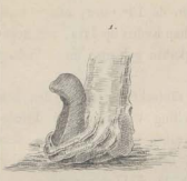 batu keramat kertayasa sindangagung kuningan fc wilsen