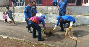 Anjing Liar Resahkan Warga Lengkong, Damkar Kuningan Turun Tangan Evakuasi