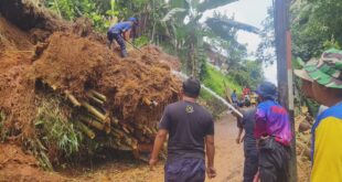 Petugas Damkar Turun Tangan Atasi Longsor dan Pohon Tumbang di Desa Tembong