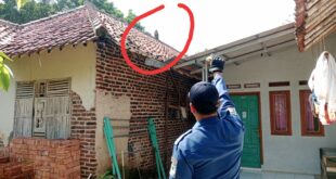 Kera Liar Resahkan Warga Cihideung Girang, Damkar Kuningan Turun Tangan