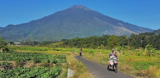 Jabar Siaga! KDM Instruksikan Stop Total Penebangan Hutan Mulai Sekarang