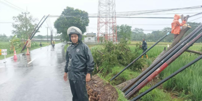 BPBD dan Damkar Siaga, Kuningan Diterjang Angin Kencang, Pohon dan Tiang Telepon Tumbang