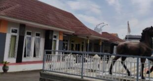 Bupati Percayakan Adang Kurniawan Pimpin PDAU Kuningan, Pengamat: Jangan Terulang Drama Mundur di Tengah Jalan