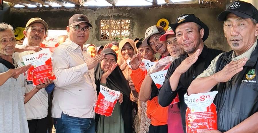 Serangan Tikus Mengganas, Pemkab Kuningan Gerak Cepat Selamatkan 10 Hektare Sawah Lewat Gerdal