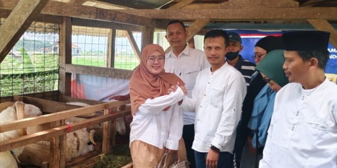BUMDes dan KDMP Cilaja Jalin Kerja Sama Penjualan Kambing Kurban
