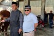 H+1 Idul Adha, Partai Gerindra Kuningan Kurban 4 Sapi dan 5 Kambing