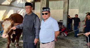 H+1 Idul Adha, Partai Gerindra Kuningan Kurban 4 Sapi dan 5 Kambing