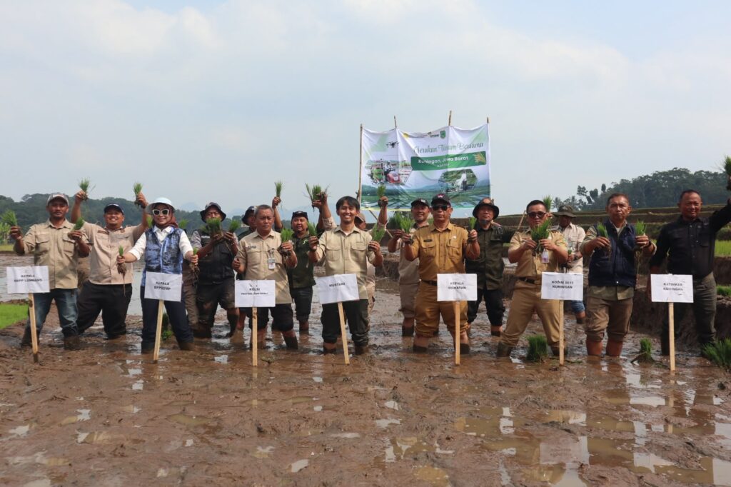 Gerakan Tanam Bersama di Kuningan Dipercepat, Kementan Genjot Produksi Menuju Swasembada Pangan