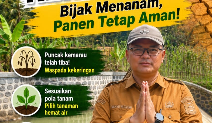 Kemarau Memuncak, Diskatan Kuningan Ingatkan Petani Jangan Nekat Tanam Padi
